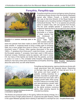 Forsythia.Pdf