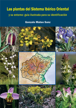 Las Plantas Del Sistema Ibérico Oriental Y Su Entorno: Guía Ilustrada Para Su Identificación