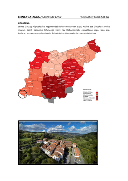 LEINTZ GATZAGA / Salinas De Leniz HONDAKIN KUDEAKETA