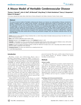 A Mouse Model of Heritable Cerebrovascular Disease