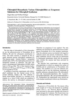 Chlorophyll Biosynthesis