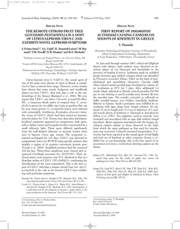 The Remote Citroid Fruit Tree Glycosmis Pentaphylla Is a Host of Citrus Leprosis Virus C and Exhibits Novel Leprosis Symptoms Fi