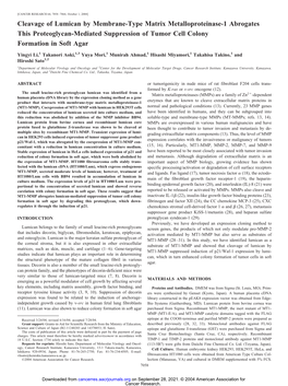 Cleavage of Lumican by Membrane-Type Matrix Metalloproteinase-1 Abrogates This Proteoglycan-Mediated Suppression of Tumor Cell Colony Formation in Soft Agar