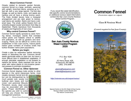 Common Fennel Control