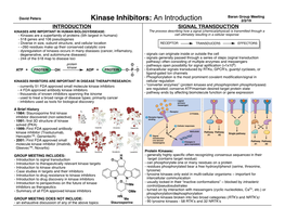 Kinase Inhibitors: an Introduction
