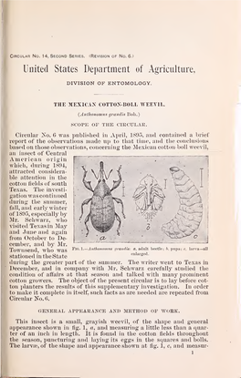 The Mexican Cotton-Boll Weevil (Anthonomus Grandis Boh.)