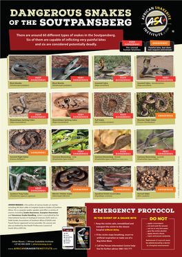 Dangerous Snakes Soutpansberg
