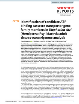 Identification of Candidate ATP-Binding Cassette Transporter