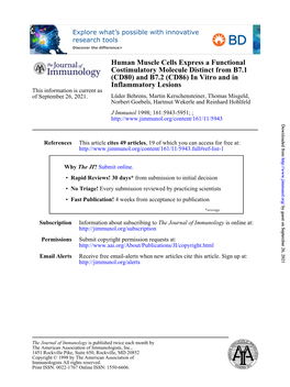 Inflammatory Lesions (CD80) and B7.2 (CD86) in Vitro and In