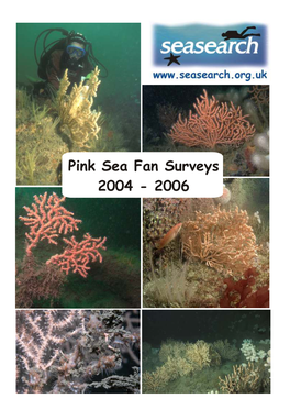 Pink Sea Fan Surveys 2004 - 2006