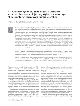 A New Type of Neuropteran Larva from Burmese Amber