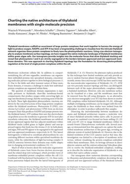 Charting the Native Architecture of Thylakoid Membranes with Single-Molecule Precision