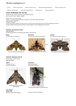 British Lepidoptera (/)