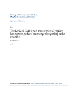 The LIN28B-IMP1 Post-Transcriptional Regulon Has Opposing Effects On