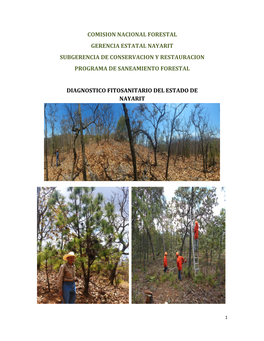 Comision Nacional Forestal Gerencia Estatal Nayarit Subgerencia De Conservacion Y Restauracion Programa De Saneamiento Forestal