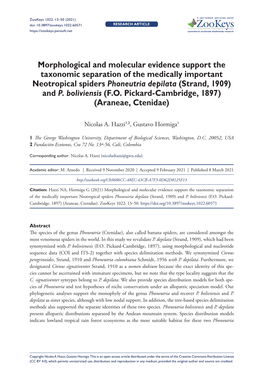 Morphological and Molecular Evidence Support the Taxonomic Separation of the Medically Important Neotropical Spiders Phoneutria Depilata (Strand, 1909) and P