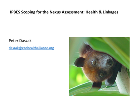 Peter Daszak IPBES Scoping for the Nexus Assessment: Health