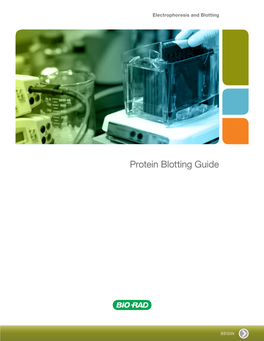 Protein Blotting Guide