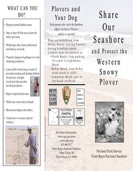 Brochure: Share Our Seashore and Protect the Western Snowy Plover