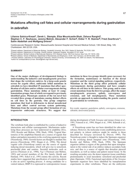 Mutations Affecting Cell Fates and Cellular Rearrangements During Gastrulation in Zebraﬁsh