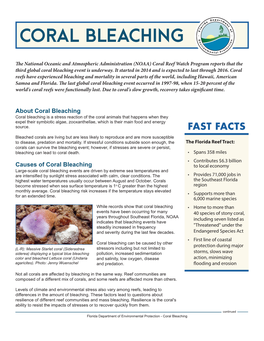 CORAL Bleaching