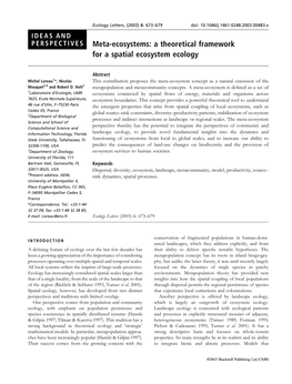 Meta-Ecosystems: a Theoretical Framework for a Spatial Ecosystem Ecology