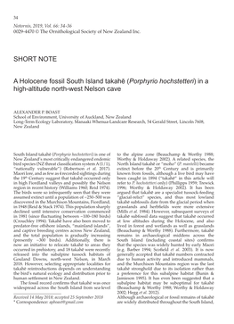 SHORT NOTE a Holocene Fossil South Island Takahē