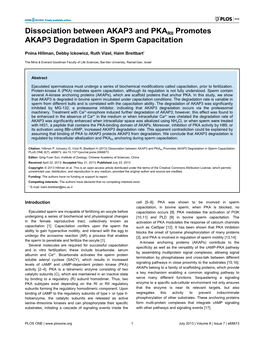 Dissociation Between AKAP3 and PKARII Promotes AKAP3 Degradation in Sperm Capacitation