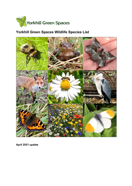 Yorkhill Green Spaces Wildlife Species List