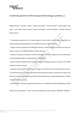 A Reference Genome of the European Beech (Fagus Sylvatica L.)