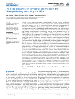 The Deep Biosphere in Terrestrial Sediments in the Chesapeake Bay Area, Virginia, USA
