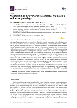 Magnesium Is a Key Player in Neuronal Maturation and Neuropathology