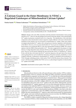 Is VDAC a Regulated Gatekeeper of Mitochondrial Calcium Uptake?