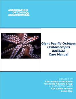 Giant Pacific Octopus (Enteroctopus Dofleini) Care Manual