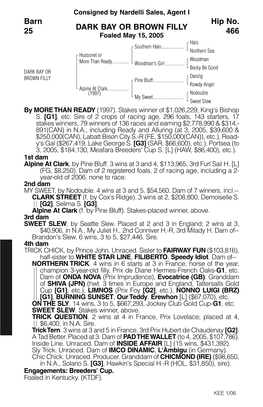 DARK BAY OR BROWN FILLY Barn 25 Hip No