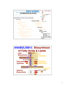 33 34 35 Lipid Synthesis Laptop