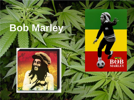 Bob Marley Background Informations
