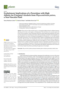 Evolutionary Implications of a Peroxidase with High Affinity For