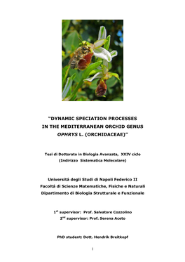 “Dynamic Speciation Processes in the Mediterranean Orchid Genus Ophrys L