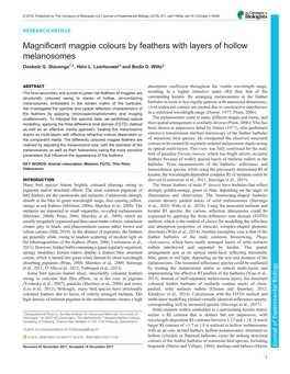 Magnificent Magpie Colours by Feathers with Layers of Hollow Melanosomes Doekele G