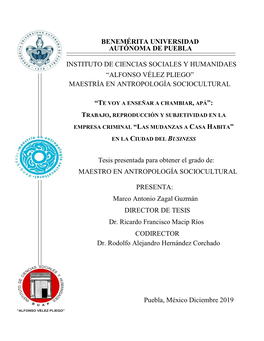 Benemérita Universidad Autónoma De Puebla Instituto De Ciencias Sociales Y Humanidaes “Alfonso Vélez Pliego” Maestría En