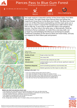 Pierces Pass to Blue Gum Forest (Dharug & Gundungurra Country)