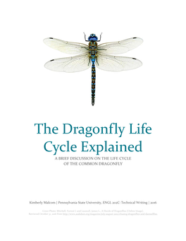 Life Cycle of a Dragonfly, and Will Be Broken Down Into Sections Based on the Chronological Life Stages of This Insect