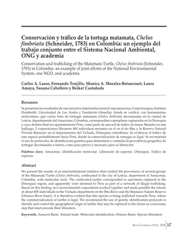 Conservación Y Tráfico De La Tortuga Matamata, Chelus Fimbriata