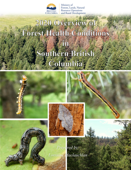 Prepared By: Lorraine Maclauchlan, Ph.D., R.P.F., Forest Entomologist (Kamloops)