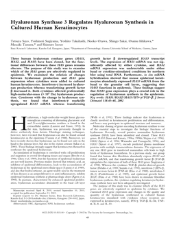 Hyaluronan Synthase 3 Regulates Hyaluronan Synthesis in Cultured Human Keratinocytes