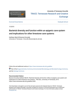 Bacterial Diversity and Function Within an Epigenic Cave System and Implications for Other Limestone Cave Systems