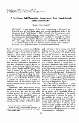 A New Moray Eel (Muraenidae: Gymnothorax) from Oceanic Islands of the South Pacific!