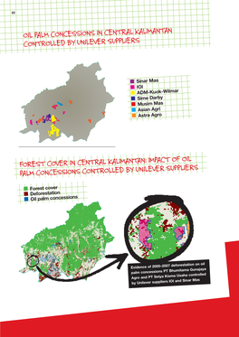 Impact of Oil Palm Concessions Controlled by Unilever Suppliers