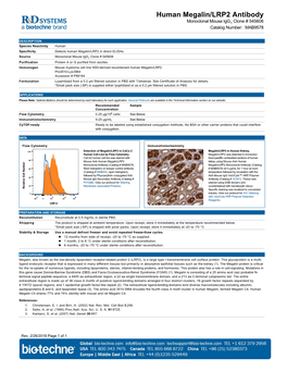 Human Megalin/LRP2 Antibody